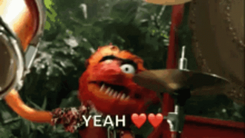 Muppets Animal Yeah GIF