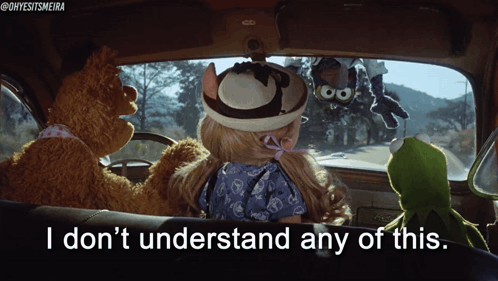 Muppets In A Car With The Words " I Don 'T Understand Any Of This " GIF
