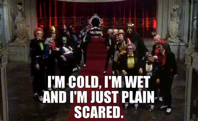 Muppets In Pirate Costumes On Stage GIF