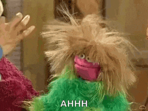 Muppetwiki Muppet Wiki Gif GIF