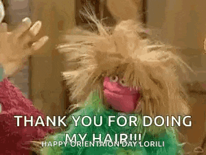 Muppetwiki Muppet Wiki Gif GIF