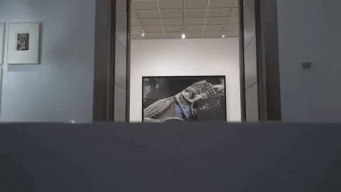 Museum Displaying A Painting GIF