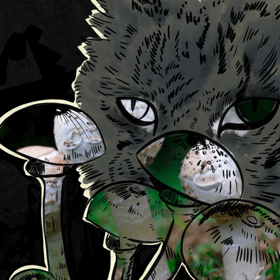 Mushroom Cat Changing Colors GIF