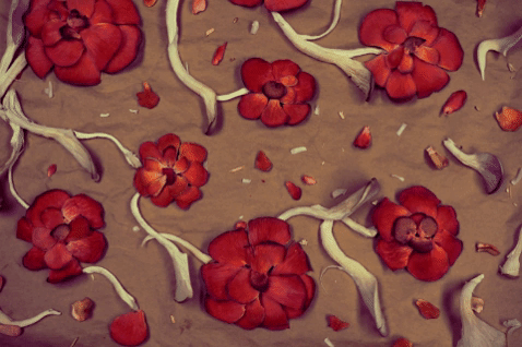 Mushroom Flowers Art Oil Painting GIF