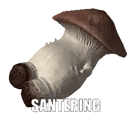 Mushroom Saying Santering