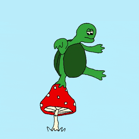 Mushroom Turtle Stuck GIF