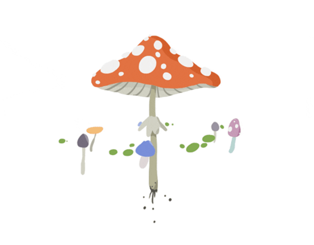 mushrooms trip gif