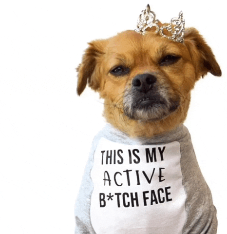 Mushu Active Baddie Face GIF