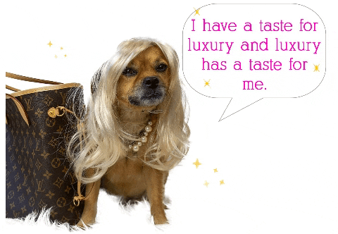 Mushu I Have A Taste For Luxury GIF