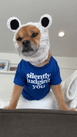 Mushu The Dog Shiba GIF