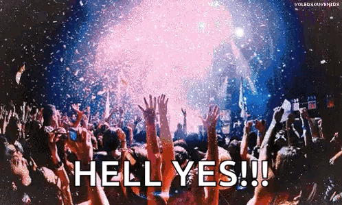 Music Festival Concert GIF