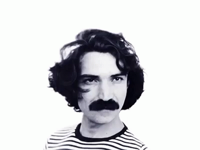 Belchior Walrus Mustache Mobile Image GIF