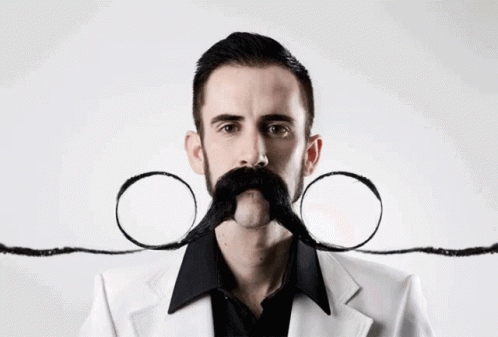 Sean Raiger Mustache Fu Manchu World Champion GIF