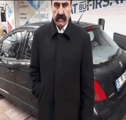 Mustached Man By Car License GS WM 966 GIF