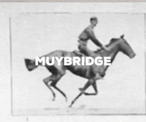Muybridge Horse Riding Photo GIF
