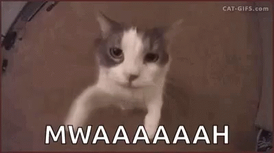 Mwah Kitty Love GIF