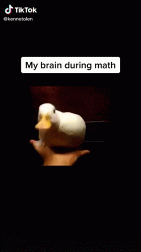 My Brain During Math Meme GIF