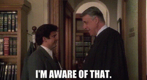 My Cousin Vinny I'm Aware Of That GIF