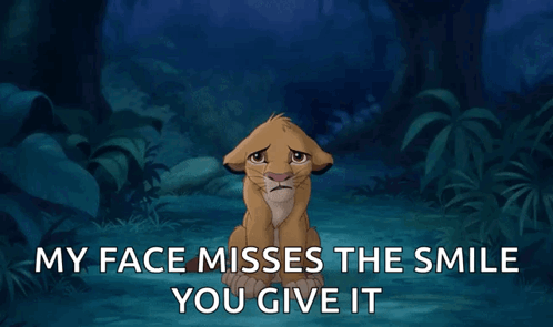 My Face Misses The Smile Lion King Meme GIF
