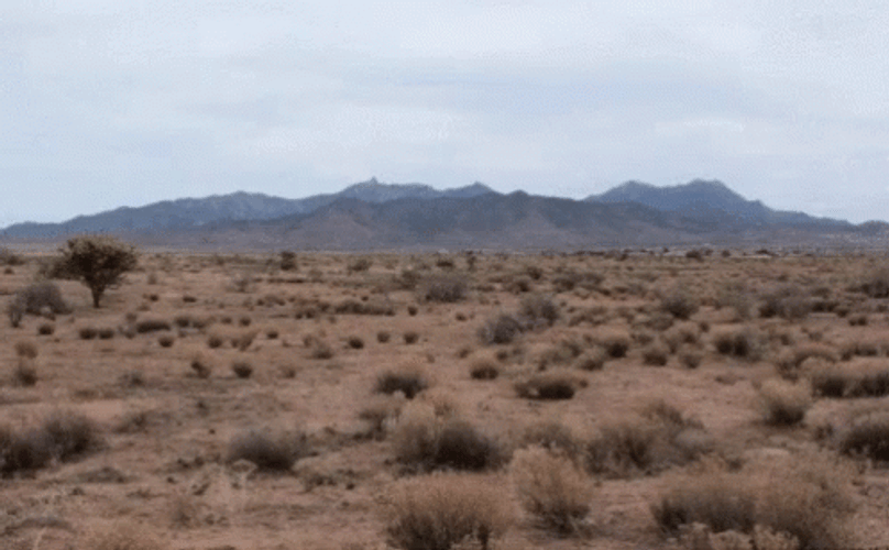My Feelings For You Desert GIF