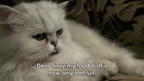 My Food Dish So Only Half Full GIF