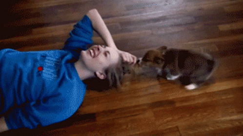 My Hair Pull By My Cat GIF