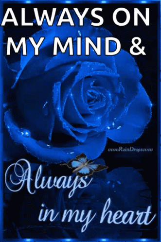 Blue Rose Always In My Heart GIF