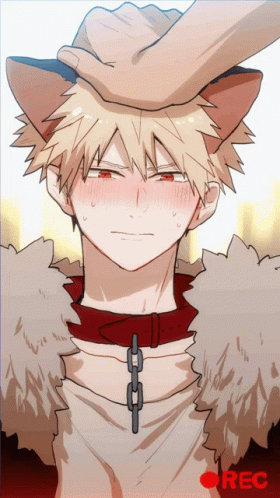 My Hero Academia Katsuki Wolf Ears GIF