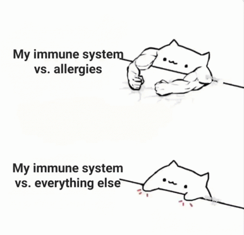 My Immune System Vs Allergies Cat Comparison GIF