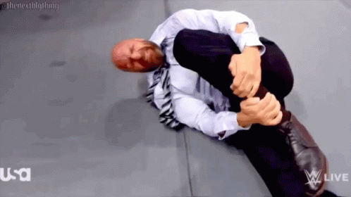 My Leg Wrestler Paul Levesque GIF