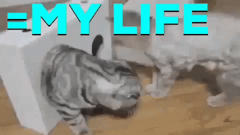 My Life Filled With Struggle GIF