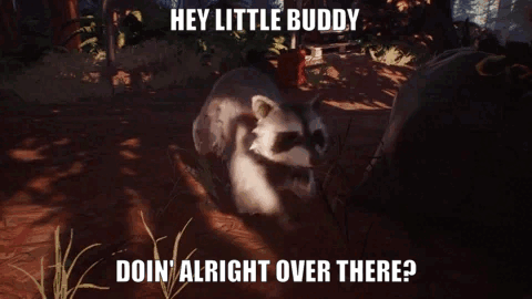My Little Buddy Racoon GIF