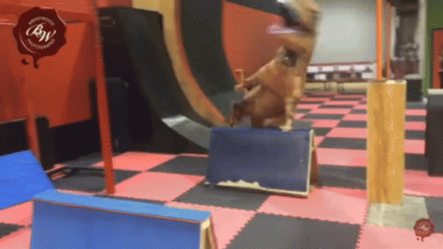 My Mood Parkour GIF