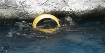 My Precious Funny Otter Spinning GIF