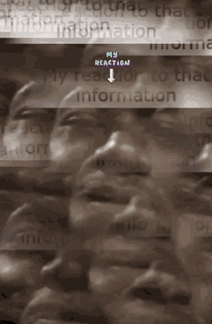 My Reaction To That Information My Reaction To That Information Meme Gif GIF