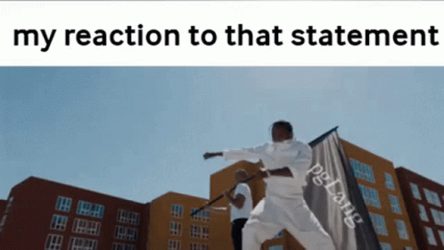 My Reaction To That Statement Meme GIF
