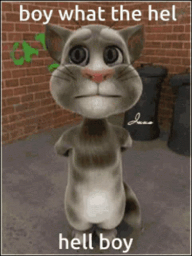 My Talking Tom Boi Meme GIF