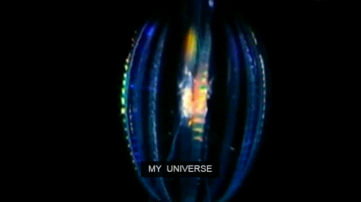 My Universe Vedic Viswaroopa GIF