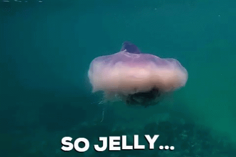 Mystic Jelly Fish GIF