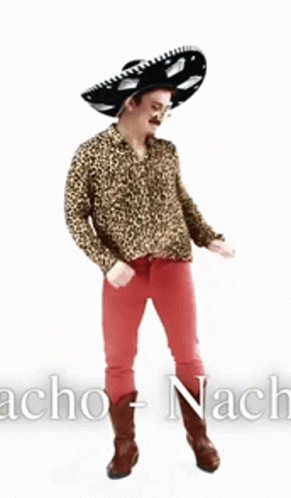 Nacho 291 X 498 Gif GIF