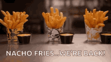 Nacho French Fries GIF