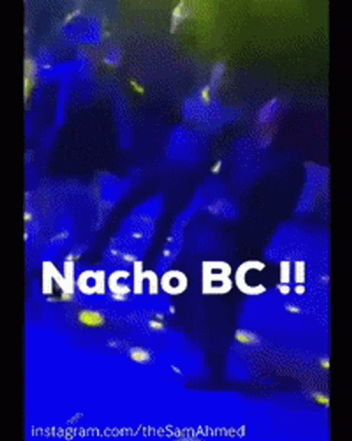 Nacho GIF