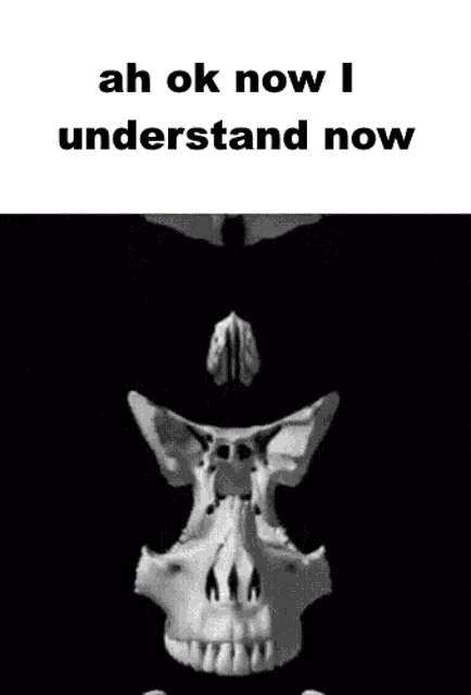 Nah Bruh Ah Ok I Undertand Now Gif GIF