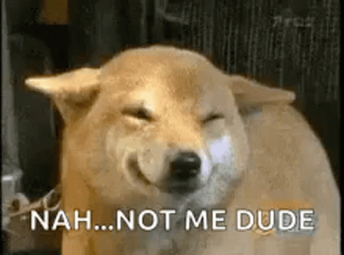 Nah Not Me Dude Cute Dog GIF