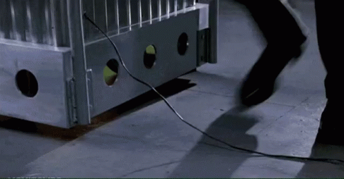 Naked Gun Jane Spencer Seeing Frank Drebin Stumble GIF