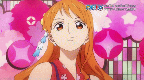Nami And Nico Robin Friendship One Piece GIF