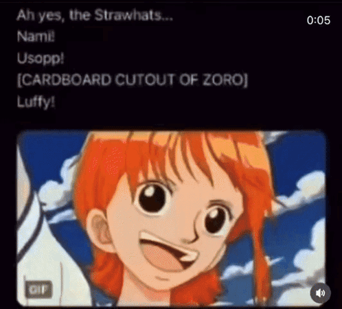 Nami from One Piece Talking to Luffy