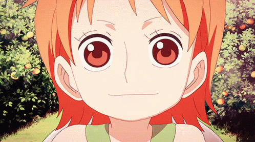 Nami Happy Kid One Piece GIF