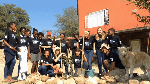 Namibia Earth Hour Jump Shot GIF