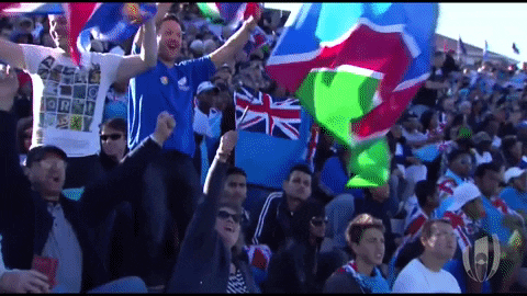 Namibia Flag Rugby Sports Fans GIF